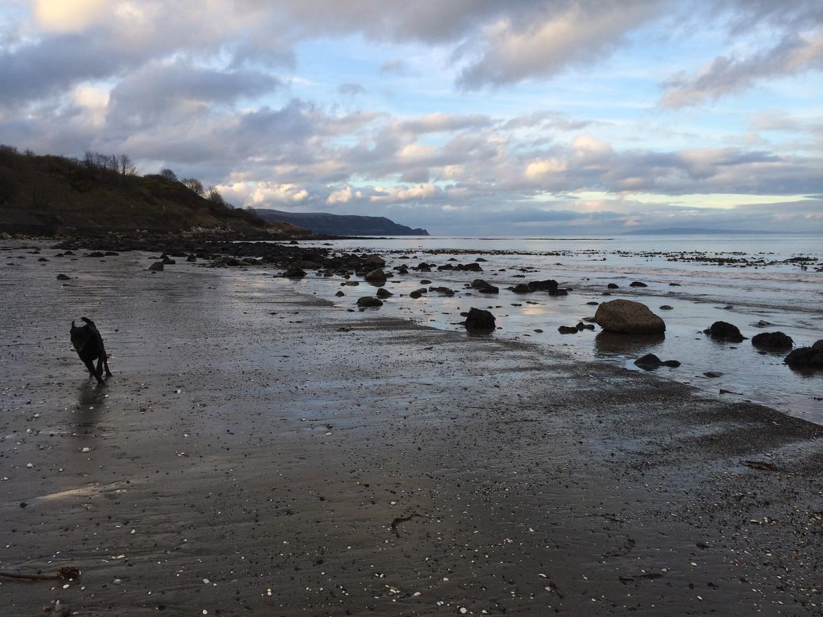 Josies Place At Waters Edge Self Catering Apartment Glenarm Exteriér fotografie